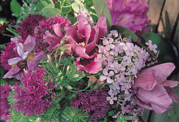 Un bouquet de roses roses pour exprimer la tendresse