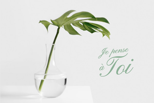 je pense à toi avec ces quelques fleurs