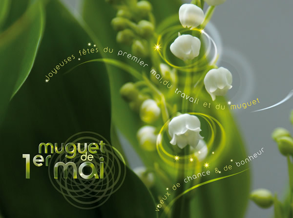 Muguet de 1er mai, fleur porte bonheur