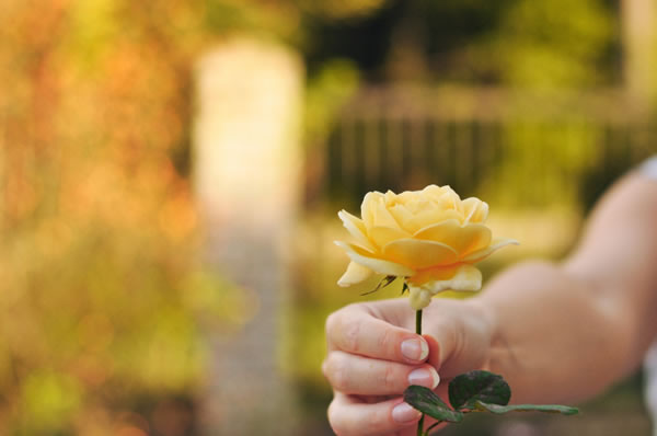 L'art de demander pardon