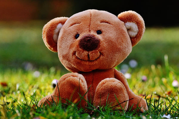 Teddy Bear