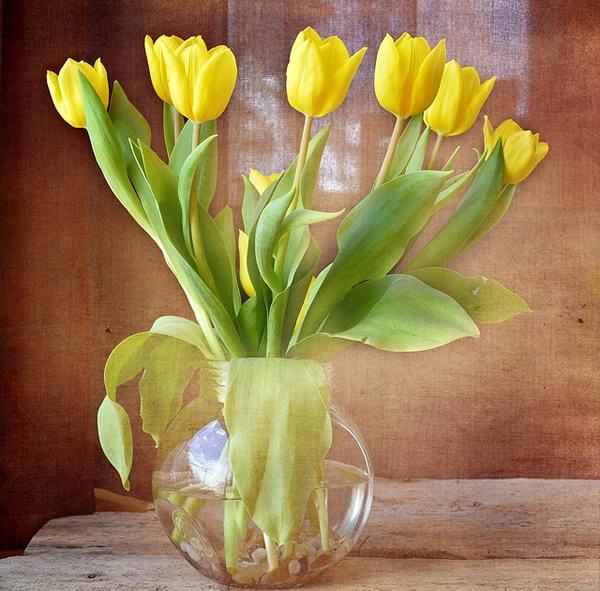 bouquet de tulipes jaunes
