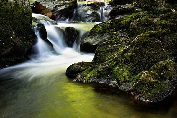 Rivière, beau paysage brumeux d'Irlande