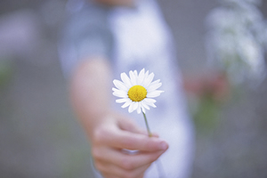 le co�t de la gentillesse